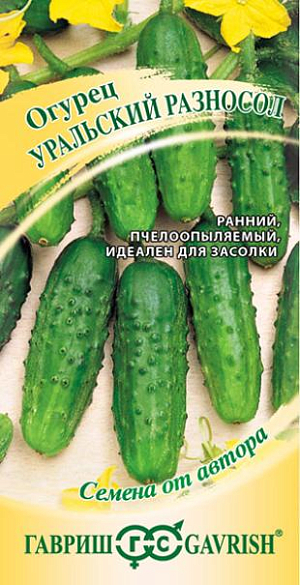 Семена Огурец Уральский разносол