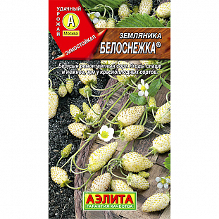 Семена Земляника (клубника) Белоснежка ремонтантная