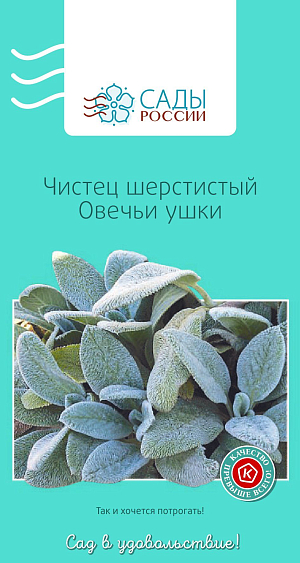 Чистец шерстистый Овечьи ушки

Многолетнее корневищное растение с прямостоячими стеблями и толстыми листьями. Декоративны беловойлочные листья, соблазняющие мягкой пушистостью. Рекомендуется обрезать до цветения. Требуется высокая влагоемкость почвы. Удобрять следует перепревшим компостом один раз в сезон. Зимостойкий, зимует без укрытия.