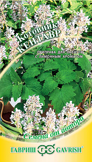 Семена Котовник Кентавр