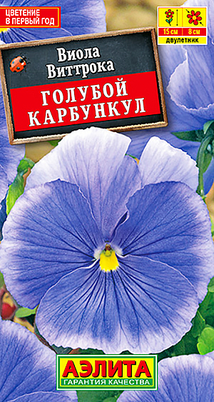Лен Фиалка Фото Лен Фиалка Фото