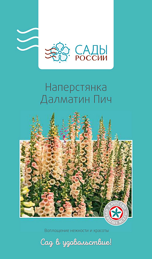Наперстянка Далматин Пич

Крупные колокольчатые цветки лососево-желтого оттенка с темными крапинками внутри. Эффектные пышные кистевые соцветия на крепких прямостоячих стеблях. Хорошо переносит засуху. Отличный медонос. Устойчива к заболеваниям. За неделю перед посевом семена необходимо замочить в воде. Закаливание перед высадкой в грунт обязательно. Холодостойка. Легко размножается самосевом.