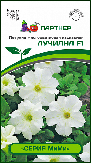 <div>
 Семена Петуния Лучиана F1.
</div>
Перспективная серия с «инновационным» габитусом, непрерывным цветением и отличной выносливостью. Благодаря удивительной способности гибрида к интенсивному ветвлению, растение производит огромное количество цветков в течение всего периода вегетации. Многочисленные побеги равномерно направлены во все стороны, благодаря этому формируется настоящее «облако» цветков. Ширина куста достигает 65 см и более. Представленная серия имеет также замечательную способность адаптироваться к широкому диапазону температур от -5°С до +40°С. При минусовых температурах растение не гибнет, а лишь приостанавливает свой рост. Растения непрерывно цветут с ранней весны до поздней осени, благодаря наличию мужской стерильности. Сила и энергия гибрида позволяет растениям быть высокоустойчивыми к серой гнили (Botrytis). Идеально подходит для всех типов использования: для горшков, контейнеров, подвесных корзин, озеленения, позволяя создавать уникальный дизайн. Чтобы петуния полностью раскрыла свой потенциал, рекомендуем объем кашпо 12-15 л на одно растение и схему посадки в грунте –&nbsp;&nbsp;45х45 см.
