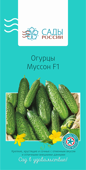 Семена Огурец Муссон