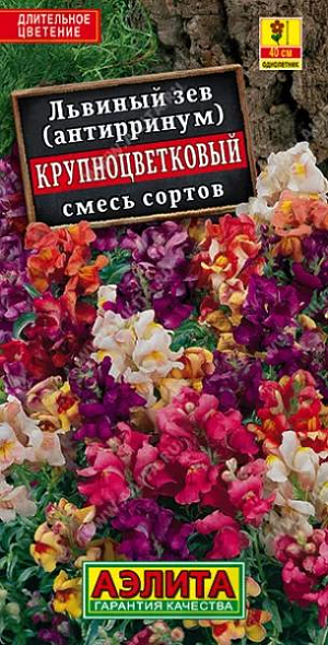 Семена Львиный зев Крупноцветковый смесь окрасок.
Крупноцветковая, обильно цветущая смесь. Формирует хорошо кустящиеся растения средней высоты – 35-45 см. Ароматные цветки собраны в кисти длиной 15-20 см. Смесь используется для выращивания на клумбах и рабатках, подходит для создания массивов и горшечной культуры. Срезка сохраняет свежесть до 14 дней, при этом распускаются все бутоны. Растения холодостойкие; если регулярно удалять увядающие цветки, то сезон цветения продолжается до глубокой осени. 
Агротехника. Выращивают через рассаду. Семена высевают поверхностно, без заделки, увлажняют из распылителя и накрывают стеклом для поддержания постоянной влажности 
до всходов. В фазе одной пары настоящих листьев сеянцы пикируют. В фазе 4-5 пар листьев проводят формирующую прищипку. Высадку рассады в открытый грунт проводят со второй половины мая. Посадки размещают на солнечных участках с плодородными, дренированными почвами.