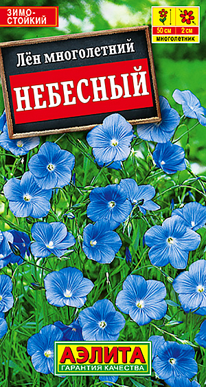 Лен многолетний Небесный из каталога Лён Семена Лён Небесный.
Неприхотливое многолетнее растение с множеством небесно-голубых цветков. Образует изящные кустики высотой 40-50 см с тонкими, одревесневающими побегами. Цветки диаметром до 2 см собраны в много-численные рыхлые кистевидные соцветия. Цветение обильное в течение всего лета. Растения зимостойкие, предпочитают солнечное местоположение. Используют для групповых посадок в рабатках, альпинариях, на клумбах и в сборных цветниках.
Агротехника. Посев cемян в апреле-мае в открытый грунт. Спустя 2-3 недели после всходов растения прореживают. Цветение на второй год, с конца июня по август. Осенью отцветшие побеги срезают, укрытия на зиму не требуется.