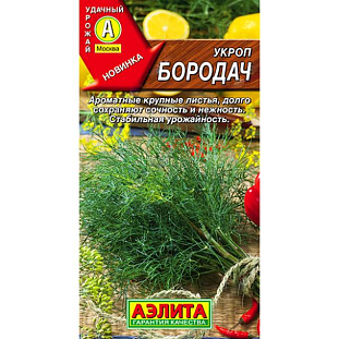 Семена Укроп Бородач