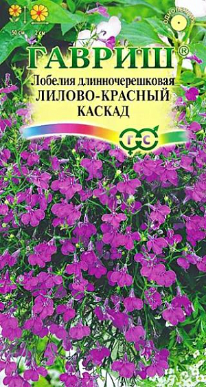 Семена Лобелия ампельная Лилово-красный каскад <br>
 <br>
 Растение, культивируемое как однолетник из семейства Лобелиевые. Побеги тонкие, стелющиеся, длиной до 50 см. Цветение обильное с июня до осени. Цветки лилово-красной окраски до 2 см в диаметре. Светолюбива, влаголюбива и холодостойка. Предпочитает рыхлые и умеренно плодородные почвы, в засушливый период необходим полив. Выращивают рассадным способом. Семена высевают в феврале-марте. <br>