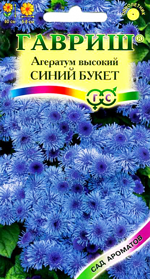 Семена Агератум Синий букет высокий.
Этот сорт агератума великолепен в срезке. Его душистые соцветия источают приятный парфюмерный аромат. 
Относится к семейству Астровые, культивируется как однолетник. Растение прямостоячее, ветвистое, высотой до 60 см. 
Цветение обильное с июня до заморозков. Душистые мелкие синие цветки собраны в плотные пушистые соцветия 5-8 см в диаметре. 
Достаточно засухоустойчивое, светолюбивое, но может расти при небольшом затенении, предпочитает легкие, умеренно плодородные почвы.
Теплолюбив, заморозков не переносит. Выращивают рассадным способом. 
Посев проводят в конце марта-начале апреля, всходы появляются через 8-12 дней. 
Высадка рассады в конце мая-начале июня, после окончания весенних заморозков, по схеме 20 х 20 см. 
Используют для посадки на клумбах, в рабатках.