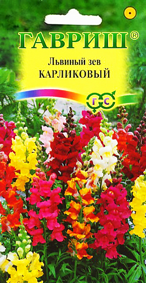 Семена Львиный зев Карликовый смесь.
Великолепный крупноцветковый срезочный сорт.Декоративное растение из семейства Норичниковые, культивируемое как однолетник, высотой 70-90 см. Цветет с конца июня до поздних заморозков. Цветки собраны в кистевидные соцветия темно-красной окраски. Холодостоек, светолюбив, к почвам нетребователен, в засушливый период нуждается в поливе. Выращивают рассадным способом. Посев проводят с начала марта до середины апреля. Всходы появляются через 8-12 дней. Рассаду высаживают во второй половине мая с расстоянием между растениями 35-40 см. Используется для групповых посадок и цветников, а также для получения высококачественной срезки (львиный зев стоит в воде до двух недель).