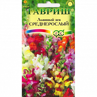 Семена Львиный зев Среднерослый