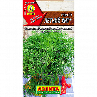 Семена Укроп Летний хит