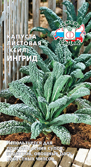 Семена Капуста листовая Ингрид