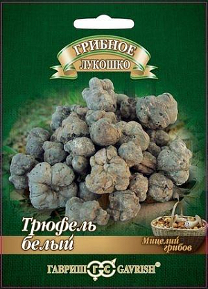 Трюфель белый Российский на зерновом субстрате Трюфель белый Российский на зерновом субстрате