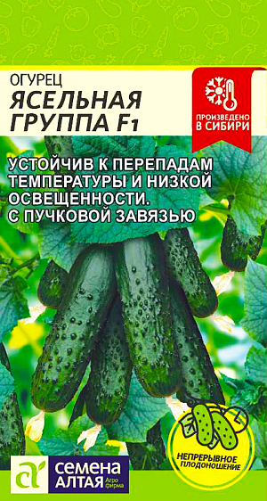 Семена Огурец Ясельная группа