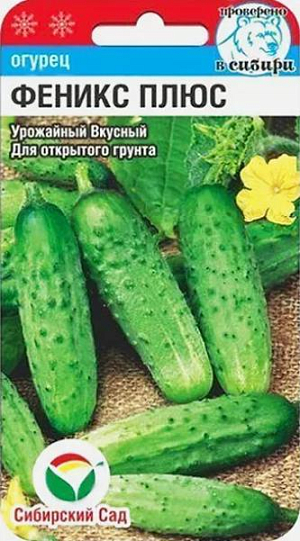 Семена Огурец Феникс плюс