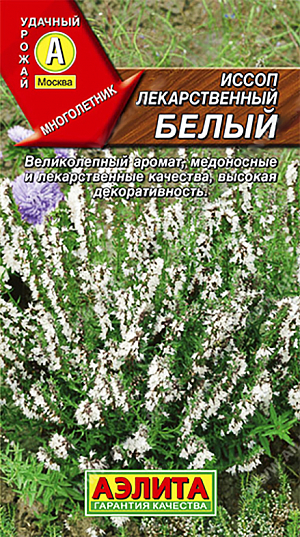 Семена Иссоп лекарственный белый
