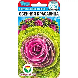 Капуста декоративная Осенняя красавица