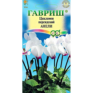 Семена Цикламен Анели персидский