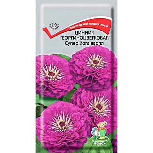 Семена Цинния Супер йога парпл