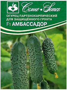 Семена Огурец Амбассадор F1