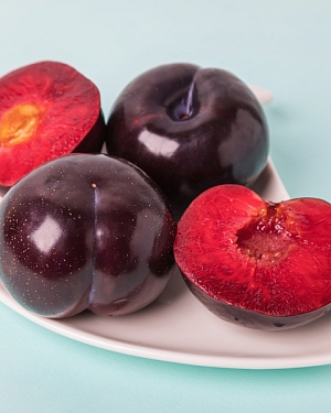 Саженцы Шарафуга Моруснигра