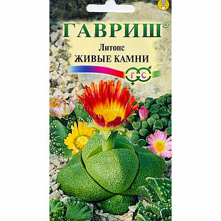 Семена Литопс Живые камни