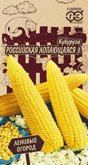 Семена Кукуруза Российская лопающаяся 3