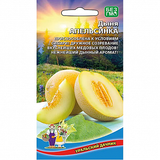 Семена Дыня Апельсинка