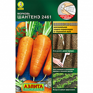 Семена Морковь Шантенэ 2461 (лента)