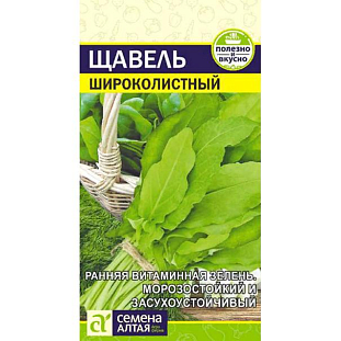 Щавель Широколистный Щавель Широколистный