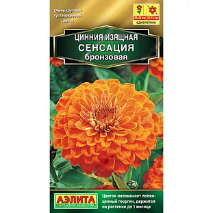 Семена Цинния Сенсация бронзовая