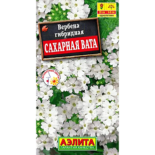 Семена Вербена Сахарная вата