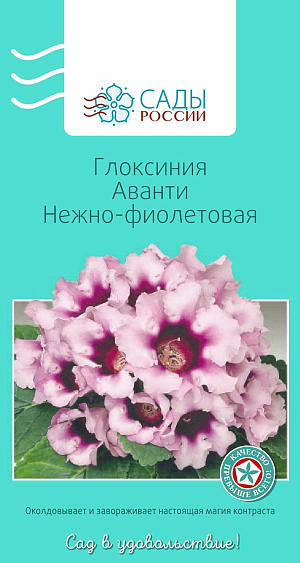 Глоксиния Аванти Нежно-фиолетовая

«Аванти» – одна из самых раннецветущих серий с крупными (до 9 см в диаметре) бархатистыми колокольчатыми цветками ярких, насыщенных окрасок. Взрослое растение образует 10-15 бутонов. Для посева используйте тепличку с рыхлой торфяной землей. Через определенное время после пересадки глоксиния может «уснуть». Не пугайтесь, если она начнет терять листья. Сократите количество полива и поставьте в прохладное место. Через 2–3 месяца на луковице появятся новые побеги. Если растение не успело развиться как следует, то на зимовку лучше не отправлять. Продолжайте уход, поддерживая влажность, освещение, тепло.