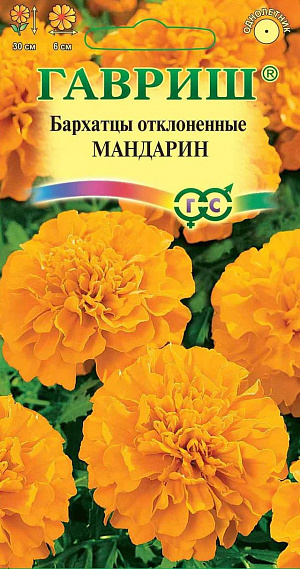 Семена Бархатцы Мандарин отклоненные.
Выразительный, компактный сорт с густооблиственным кустиком высотой 30 см и махровыми соцветиями, диаметром 6 см, сочного, ярко-оранжевого оттенка. 
Идеально подойдет для оформления бордюров, рабаток, вазонов и балконных ящиков. Цветет с июня до заморозков. 
Бархатцы светолюбивы и теплолюбивы, заморозков не переносят, к почвам нетребовательны, но предпочитают плодородные легкие почвы. 
Посев на рассаду проводят во второй половине марте - начале апреля. 
Всходы появляются через 4-8 дней после посева, сеянцы пикируют в фазе 2-го настоящего листа. 
Рассаду высаживают в начале июня с расстоянием между растениями 30-35 см.
Посев в открытый грунт проводят в мае на глубину 1,5-2 см.