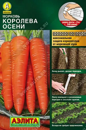 Семена Морковь Королева осени