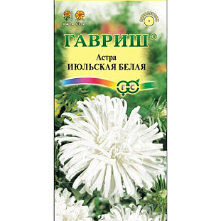 Семена Астра Июльская белая