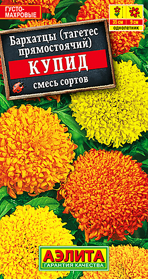 Семена Бархатцы Купид смесь (тагетес).
<p>
 Однолетник. Высота растения 25 см. Диаметр цветка 8 см. Низкорослые бархатцы с оригинальными хризантемовидными соцветиями. Кусты компактные, ветвистые, крепкие, высотой 20-25 см., с большим количеством цветоносов. Соцветия-корзинки густомахровые, крупные, 0,7-0,9 см. Цветение раннее, очень обильное и продолжительное, с июня до заморозков. Растения неприхотливые, засухоустойчивые, тепло- и светолюбивые, хорошо растут в маленьком объеме земли. Отлично подходят для выращивания в горшках и балконных ящиках, прекрасно смотрятся на клумбах и в бордюрах. Выращивают рассадным способом. Посев семян проводят в первой половине апреля. Всходы появляются через 4-8 дней после посева, сеянцы пикируют в фазе одного-двух настоящих листьев. Рассаду высаживают в конце мая-начале июня. Возможен посев в открытый грунт в мае на глубину 1 см. Растениям необходимы регулярные поливы, прополки, рыхления и подкормки.  
</p>