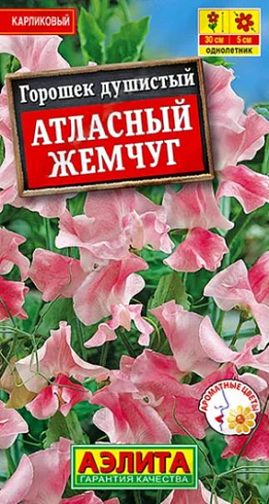 Семена&nbsp;Душистый горошек Атласный жемчуг.&nbsp;Очень компактный карликовый сорт с приятным, неповторимым ароматом цветков. Формирует кустистые растения 30 см высотой. Растет быстро, зацветает рано. Цветки крупные, диаметром 3-5 см, с волнистыми краями лепестков, собраны в изящные кисти по 3-4 шт. Растения неприхотливые, холодостойкие, светолюбивые. Сорт идеально подходит для выращивания в горшках и подвесных корзинках, используется для оформления балконов и патио. Применяется в бордюрных посадках в цветниках. Обильное и продолжительное цветение достигается регулярным удалением образующихся бобов.<br>
 <br>
 &nbsp;Посев семян в открытый грунт в лунки по 2-3 шт. Семена предварительно замачивают на сутки в теплой воде (40-60°С). Для более раннего цветения возможен посев семян на рассаду в начале апреля в горшочки. В открытый грунт рассаду высаживают, не нарушая кома земли.<br>