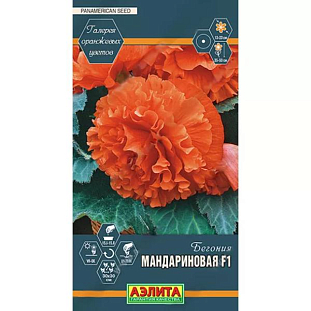 Семена Бегония Мандариновая F1