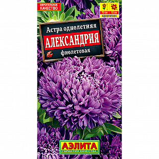 Семена Астра Александрия фиолетовая