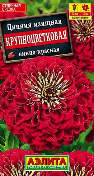 Семена Цинния винно-красная Крупноцветковая.
Высокорослая, обильноцветущая цинния с яркими махровыми соцветиями диаметром 13-15 см. Кусты быстрорастущие, мощные, высотой 70-90 см, с множеством цветоносов. Цветение раннее и продолжительное, с июня до окончания сезона. Каждое соцветие держится на растении до 30 дней. Циннии неприхотливые, теплолюбивые, достаточно засухоустойчивые, предпочитают солнечное местоположение. Широко используются для выращивания на клумбах и в рабатках, отлично подходят для срезки. Срезанные цветы долго стоят в воде. Агротехника. Выращивают рассадным способом. С развитием первой пары настоящих листочков сеянцы пикируют. В фазе 5-6 листьев проводят формирующую прищипку. Рассаду высаживают в открытый грунт, когда минует опасность заморозков. Растениям необходимы регулярные поливы, прополки, рыхления и подкормки. Возможен посев семян в открытый грунт на глубину1 см. 