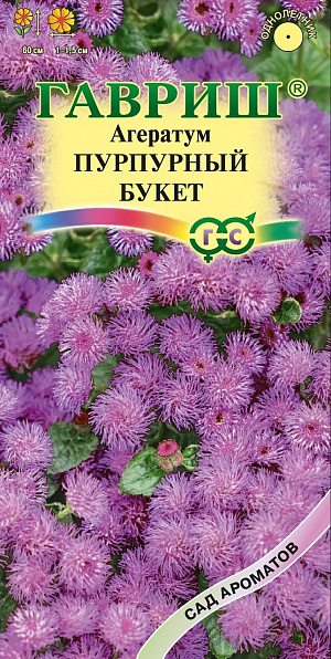 Семена Агератум Пурпурный букет 0,1 г.
Декоративное растение из семейства Астровые, культивируемое как однолетник, высотой до 60 см. Цветение обильное с июня до заморозков. Душистые мелкие цветки собраны в небольшие пурпурные соцветия-корзинки 1–1,5 см в диаметре, которые, в свою очередь, собраны в сложные щитковидные соцветия до 10 см в поперечнике. Достаточно засухоустойчив, светолюбив, но может расти при небольшом затенении, предпочитает легкие, умеренно плодородные почвы. Теплолюбив, заморозков не переносит. Выращивают рассадным способом. Посев проводят в конце марта–начале апреля, всходы появляются через 8–12 дней. Рассаду высаживают в конце мая–начале июня, после окончания весенних заморозков. Используют для посадки на клумбах, в рабатках, миксбордерах, а также в балконные ящики.