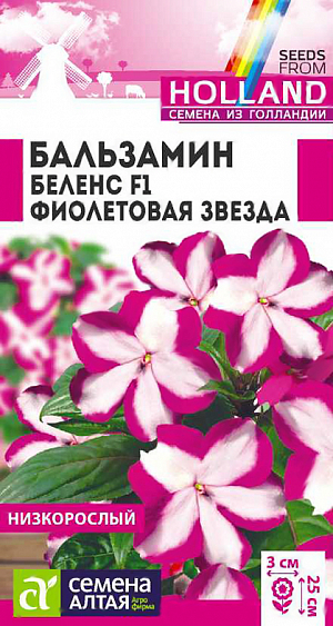 <div>
 Семена Бальзамин Беленс F1 Фиолетовая звезда.
</div>
Многолетнее компактное растение, идеально подходящее для выращивания в горшечной, контейнерной культуре, в открытом грунте выращивается, как летник. Высота растения в горшке 15-20 см, в открытом грунте – 20-25 см. Ширина кустика 25-30 см. На сочных мясистых стеблях расположены удлиненно-эллиптические листья приятной зеленой окраски. Очаровательные простые цветки достаточно крупные, в диаметре 2-3 см. В помещениях цветет весь год при температуре не ниже +16°С. Широко используют для украшения клумб, цветников, рабаток, бордюров, подвесных корзин, контейнеров, вазонов. Растение теплолюбивое, в открытом грунте при наступлении холодных ночей увядает. Предпочитает слегка затененные места в саду или комнате. Не выносит переувлажнения. Посевы на рассаду проводят в конце февраля - марте.&nbsp;