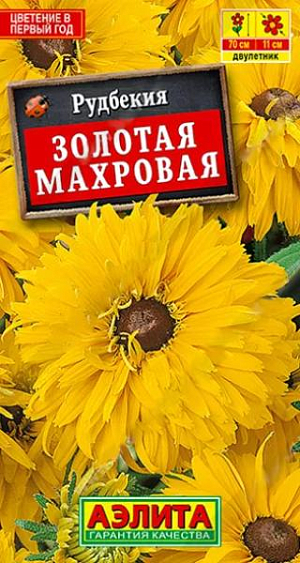 Семена Рудбекия Золотая махровая.<br>
 <br>
 Эффектный сорт с объемными, яркими соцветиями диаметром 9-11 см. По природе рудбекия — недолговечный многолетник, но чаще используется как летник и двулетник. Темп роста быстрый. Куст прямостоячий, высотой 70 см., шириной 30-45 см. Соцветия великолепны в срезке; привлекают многочисленных бабочек. Черная серединка-соплодие используется как сухоцвет в зимних букетах. Растение рекомендуется для оформления миксбордера, высоких бордюров, массивов.<br>
 <br>
 Растение неприхотливое, засухоустойчивое; в молодом возрасте теплолюбивое, во взрослом – переносит первые осенние заморозки. Предпочитает солнечные участки с плодородной, дренированной почвой. Регулярное удаление отцветших корзинок увеличивает время цветения. При посеве в открытый грунт в июне цветет на второй год. Желательно легкое укрытие на зиму.<br>