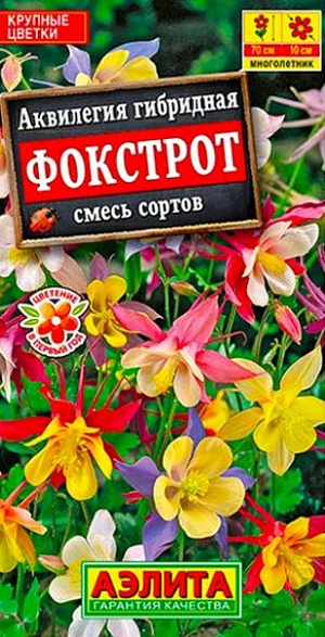 Семена Аквилегия Фокстрот. Крупноцветковая смесь неприхотливого, холодостойкого многолетника. Формирует розетку ажурных листьев с цветоносными стеблями высотой до 70 см. Цветки разнообразной окраски, диаметром 8-10 см. Выносит полутень. Используется в миксбордерах, среди деревьев и кустарников, вдоль дорожек. Подходит для срезки.<br>
 При подзимнем, ранневесеннем и рассадном способе посева растения зацветают в первый год. <br>
 <br>
 Посев на рассаду проводят предварительно стратифицированными семенами. Растение предпочитает полутенистые участки, но при достаточном увлажнении хорошо растет на солнечных.<br>