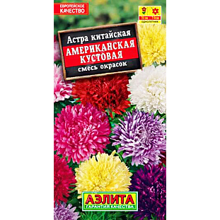 Семена Астра Американская кустовая смесь