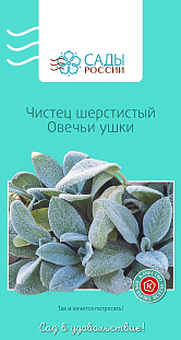Семена Чистец шерстистый Овечьи ушки 0,05гр