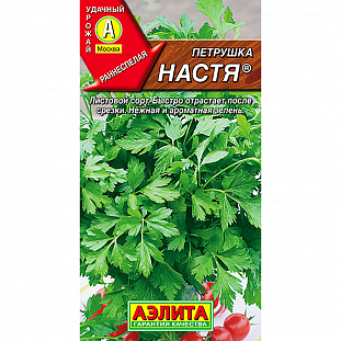 Петрушка листовая Настя Петрушка листовая Настя