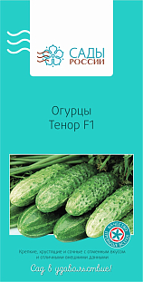 Семена Огурец Тенор F1